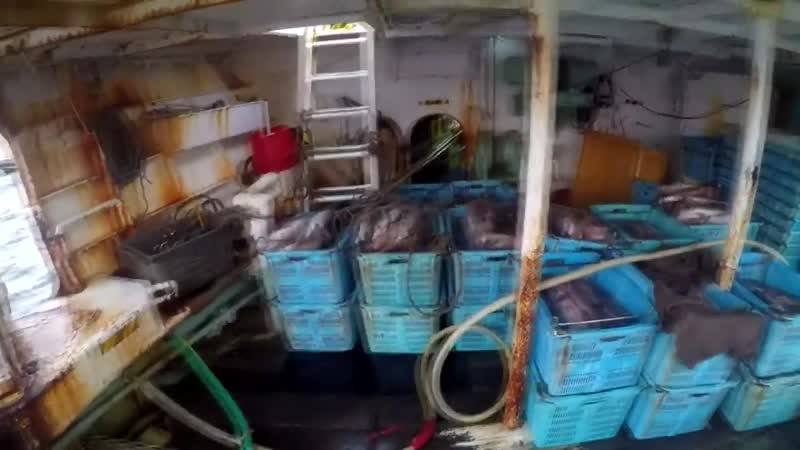 Задержание японского судна в приморье