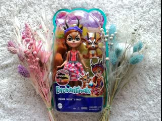 🎁 распакоа 🐎 gabriela gazelle & racer