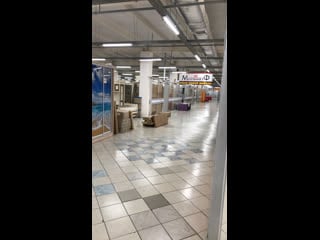 Кірпі жыныс мүшесі