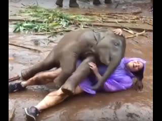 Молодые и в африке секс!