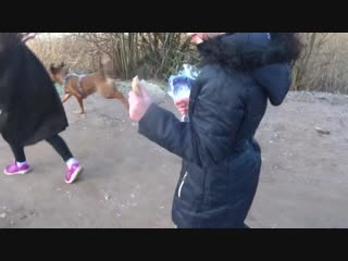 Forfar loch rhianna and abbi eating all the swans food