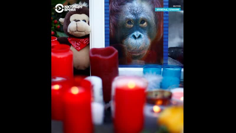 Чем опасны воздушные фонарики