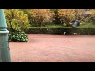 Final cut boom up bangumi (паркур)