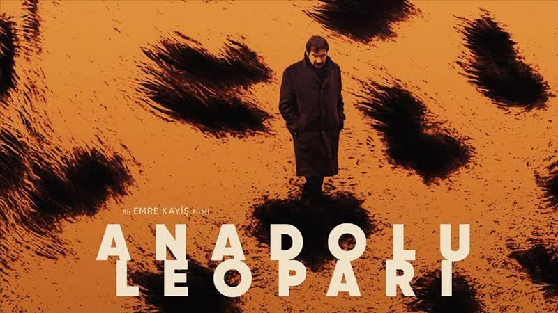 Анатолийский леопард (2021) anadolu leopari