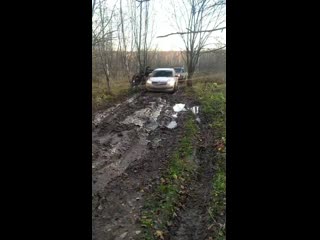 Видео от олеси павличенко