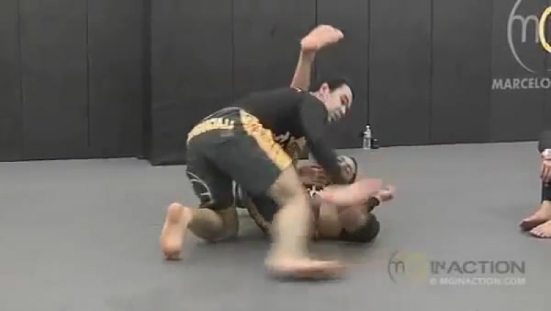 Marcelo garcia свип из халфгарда гильотина
