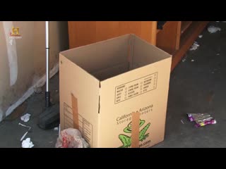 Хватай не глядя 3 25 тастинские пчёлы tustin, bee have a problem аукцион контейнеров