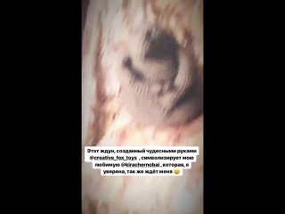 Ждун дождался свою прекрасную хозяйку)))