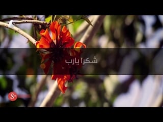 [hd] نشيد شكرا ياربي شكرا أداء رائع أدعوك