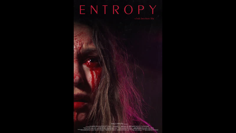 Энтропия (2022) entropy