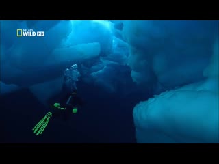 В глубинах ледовитого океана deepsea under the pole