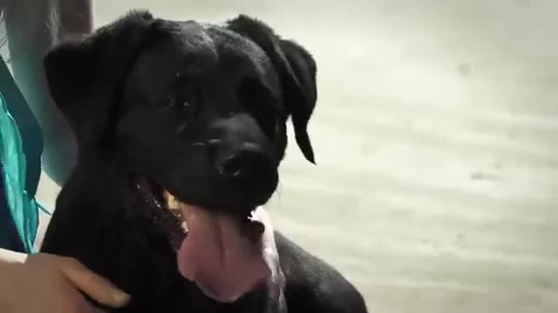 Залип и ебнулся нахуй