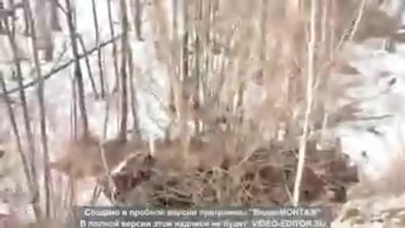 Ужасная porn video – Ужасная авария