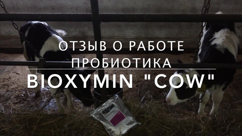 Пробиотик bioxymin cow