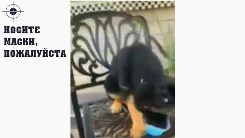Масочку надень