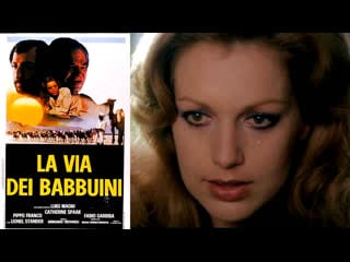 La via dei babbuini (1974) 720p