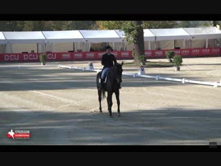 Strzegom october festival 2018 eventing dressage cci2* sergeev/coverme