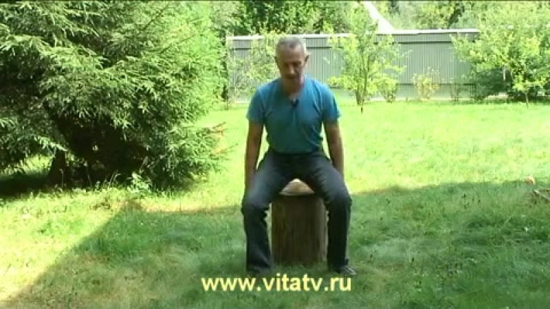 Доктор попов лечимся пеньком