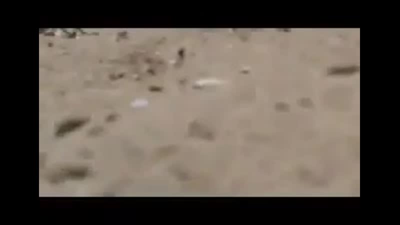 Закипела на жаре