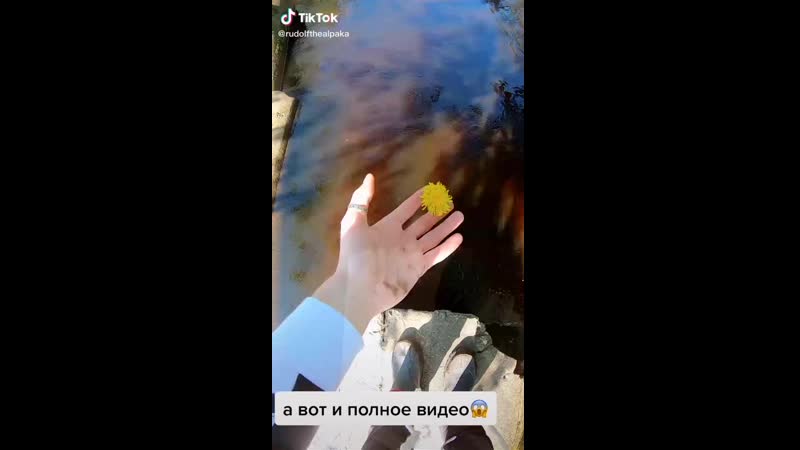 Куда делся?😨