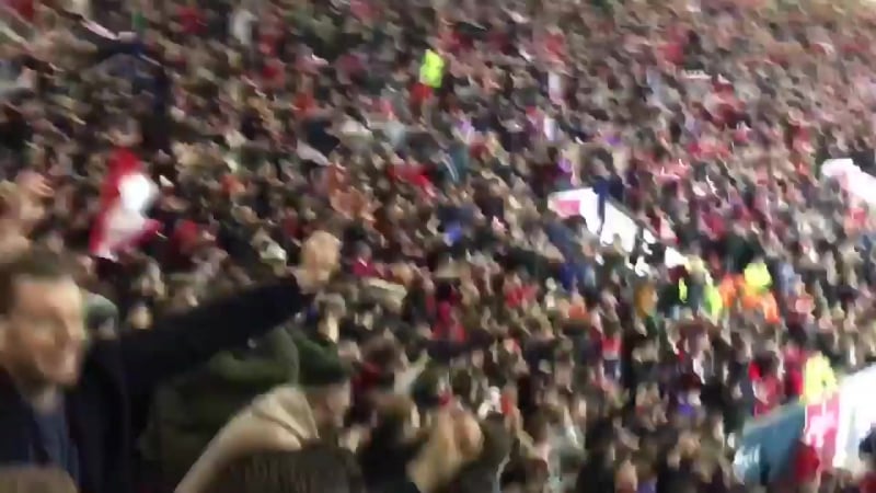 Фанаты бристоль сити