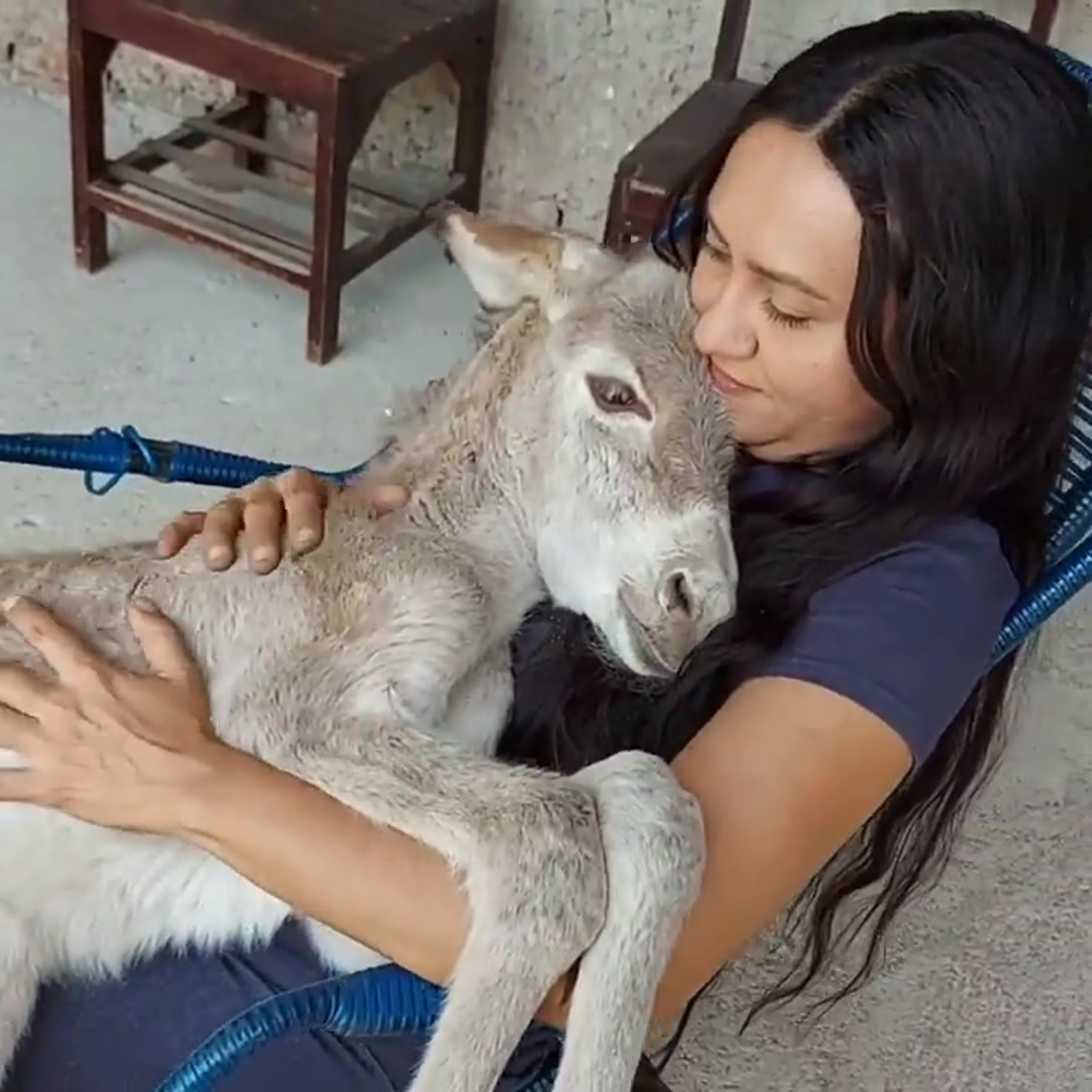 Просто девушка и ее ослик, листайте дальше 😎 watch online