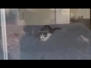 Вьетнам забыть невозможно (vhs video)