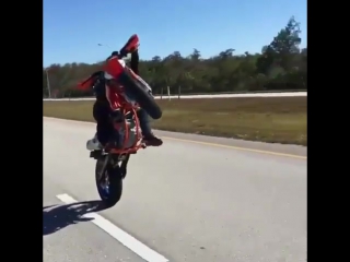 Long swingarm wheelie