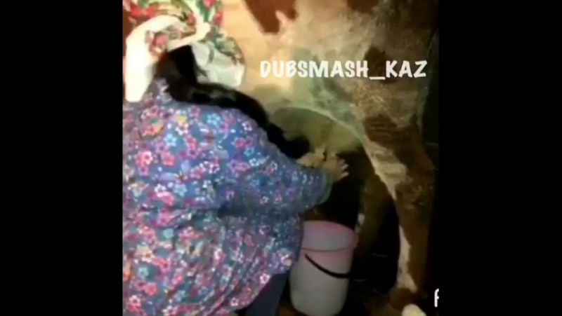 Ал сен ауылға келін болудан қашасын)