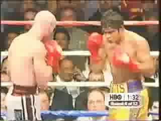 Kelly pavlik perfect ko