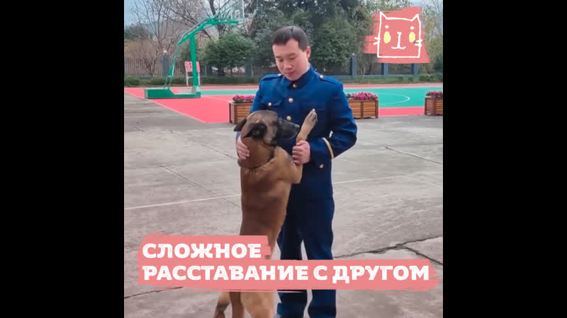 Сложное расставание с другом
