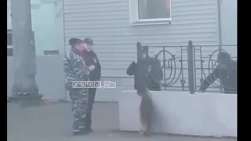 Кинолог издевается над своей молодые