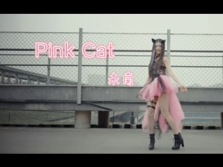 【未南】❤pink cat❤渔网袜吊袜带简直不能更羞耻~⁄(⁄ ⁄ ⁄ω⁄ ⁄ ⁄)⁄❤初投稿❤ 宅舞 舞蹈 bilib av8467073