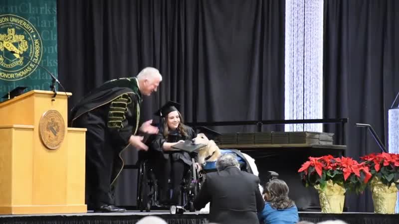Good boy receiving an honorary diploma when his handler graduates from college