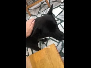 Inst @ vasco 228 stories