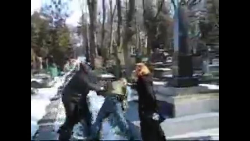 Bash the fash шарпы пиздят бона