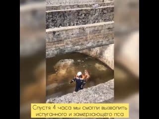 Видео от dashu lik