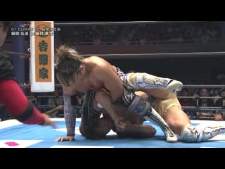 Hiroshi tanahashi vs kota ibushi climax 28 final