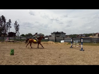 Ира и баббита/конкурная тренироа