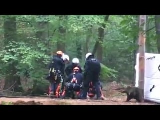 Polizeigewalt im hambacher wald