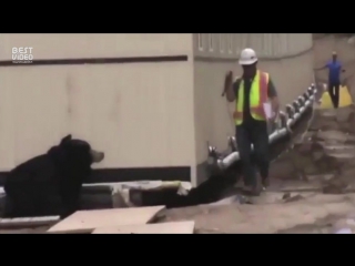 Внезапная встреча