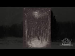 Paysage d'hiver im wald (atmospheric black metal, 2020)