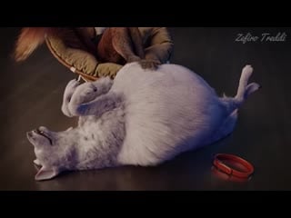 Videoplayback (1) webm