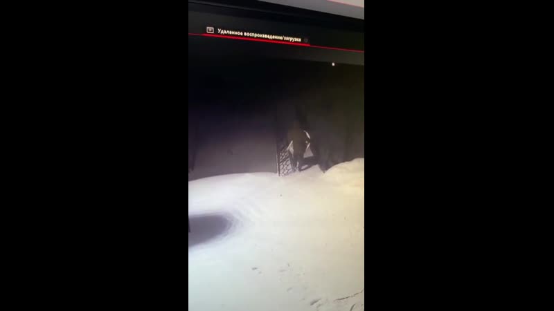 Вандализм в парке