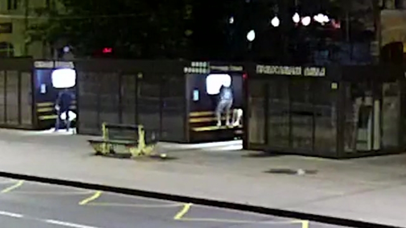 Вандалы в останое+