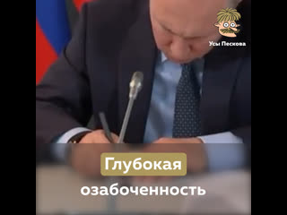 Глубокая озабоченность