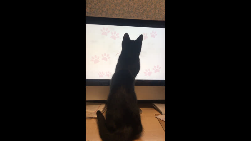Кисточка )