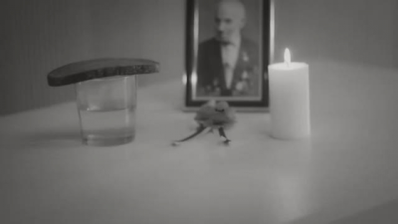 Розмова з дідом