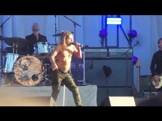 Iggy pop live / finsbury park, london 30 июнь 2018