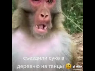 Съездили в деревню на дискотеку